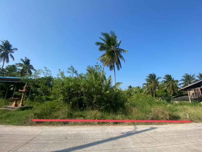 For Sale - ที่ดินอัมพวา สมุทรสงคราม, Samut Songkhram