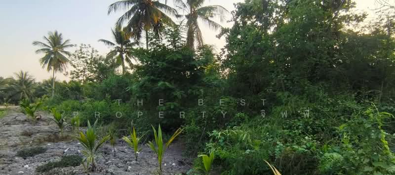 For Sale - ที่ดินอัมพวา สมุทรสงคราม, Samut Songkhram