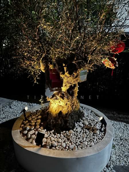 Vivaldi Bangna : วีวัลดี บางนา, สมุทรปราการ, 888 13, บางแก้ว, บางพลี, สมุทรปราการ, 256 ตร.ม., บ้านเดี่ยว ให้เช่า, โดย Kay Tippayanet, 500222062 - DDproperty.com