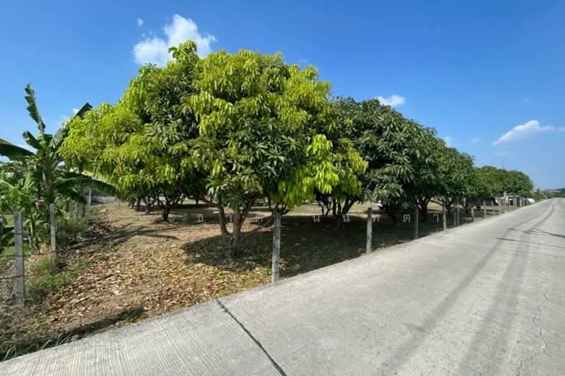 ที่ดินเปล่า เนื้อที่ 527 ตร.ว. ซอยหทัยราษฎร์ 41 (ใกล้ตลาดมารวย), Bangkok, Sam Wa Tawan Tok, Khlong Sam Wa, Bangkok, , 2,108 sqm, Land For Sale, by ชนะชาติ นนท์ตา, 500222081 - DDproperty.com