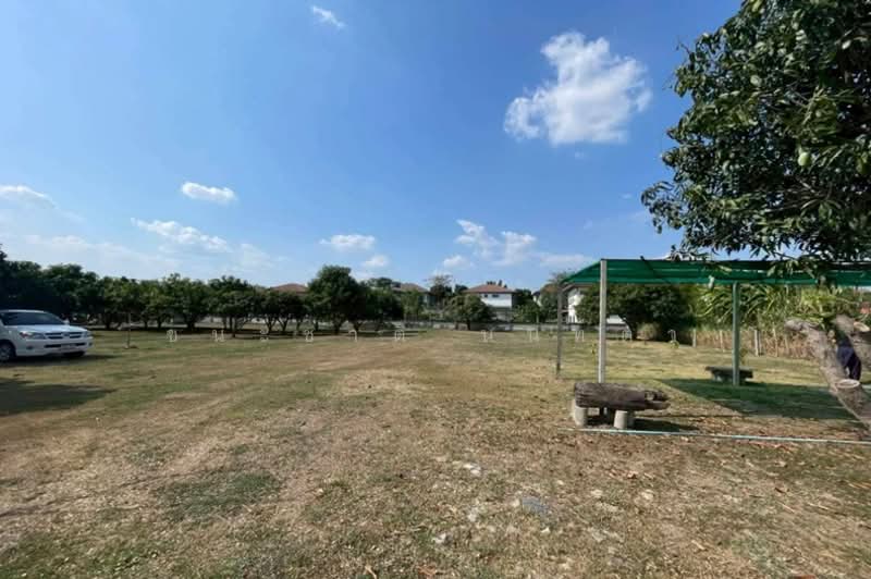 ที่ดินเปล่า เนื้อที่ 527 ตร.ว. ซอยหทัยราษฎร์ 41 (ใกล้ตลาดมารวย), กรุงเทพ, สามวาตะวันตก, คลองสามวา, กรุงเทพ, 2,108 ตร.ม., ที่ดิน ขาย, โดย ชนะชาติ นนท์ตา, 500222081 - DDproperty.com