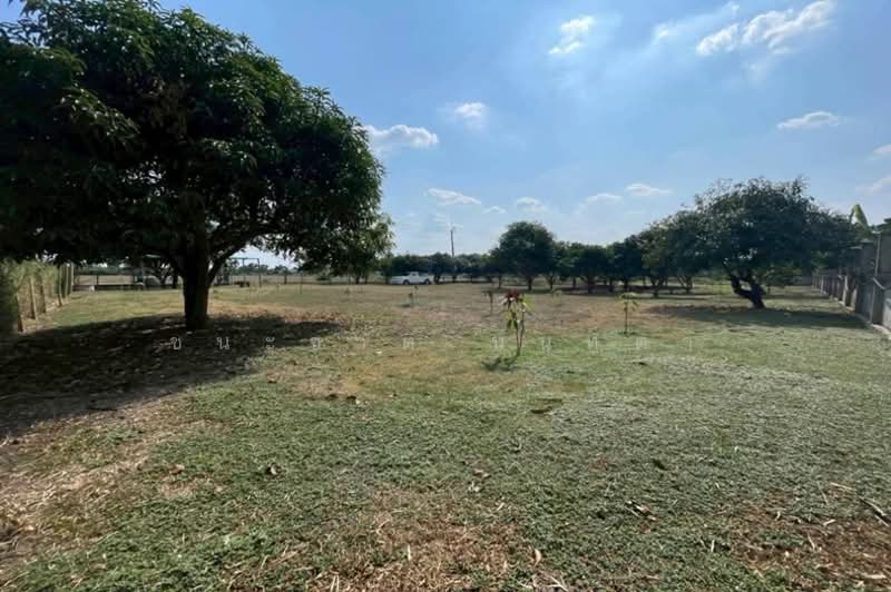 ที่ดินเปล่า เนื้อที่ 527 ตร.ว. ซอยหทัยราษฎร์ 41 (ใกล้ตลาดมารวย), กรุงเทพ, สามวาตะวันตก, คลองสามวา, กรุงเทพ, 2,108 ตร.ม., ที่ดิน ขาย, โดย ชนะชาติ นนท์ตา, 500222081 - DDproperty.com