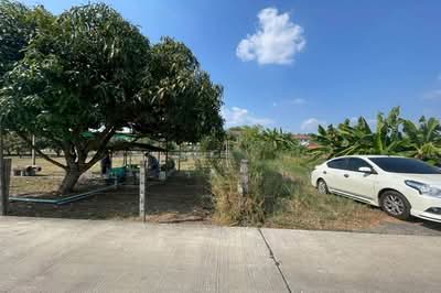 ขาย - ที่ดินเปล่า เนื้อที่ 527 ตร.ว. ซอยหทัยราษฎร์ 41 (ใกล้ตลาดมารวย), กรุงเทพ