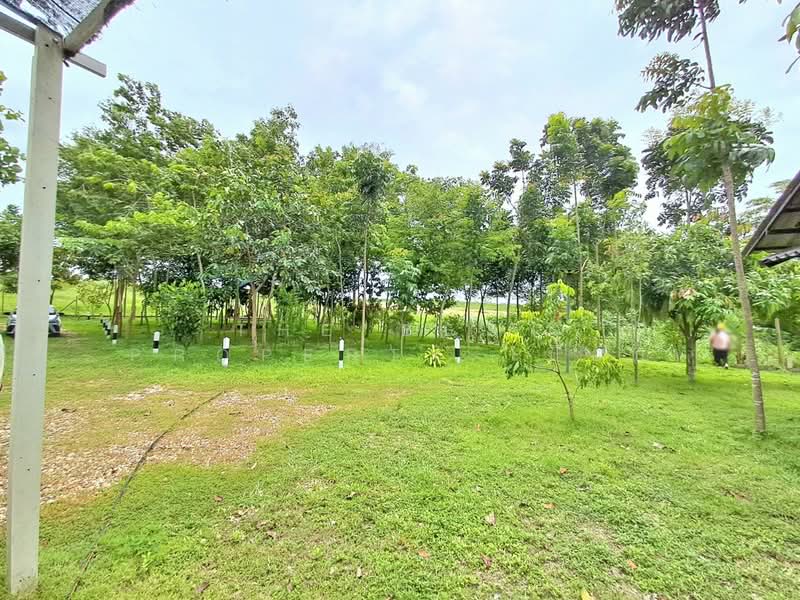 บ้านเดี่ยวพร้อมที่ดินบ่อพลอย กาญจนบุรี, Kanchanaburi, Nong Ri, Bo Phloi, Kanchanaburi, 5 Bedrooms, 100 sqm, Single Detached House For Sale, by The Best Property เปี๊ยก, 500222089 - DDproperty.com