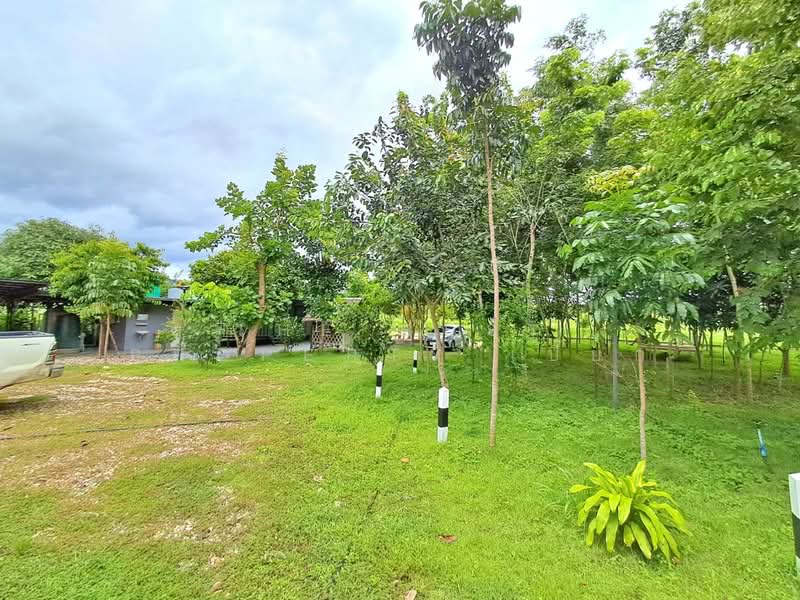 ขาย - บ้านเดี่ยวพร้อมที่ดินบ่อพลอย กาญจนบุรี, กาญจนบุรี