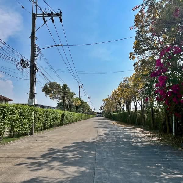 ดิเอ็กซ์คลูซีฟ อ่อนนุช 2, Bangkok, Prawet, Prawet, Bangkok, 3 Bedrooms, 160 sqm, Townhouse For Sale, by AJHOMECENTER - คุณบู้, 500222128 - DDproperty.com