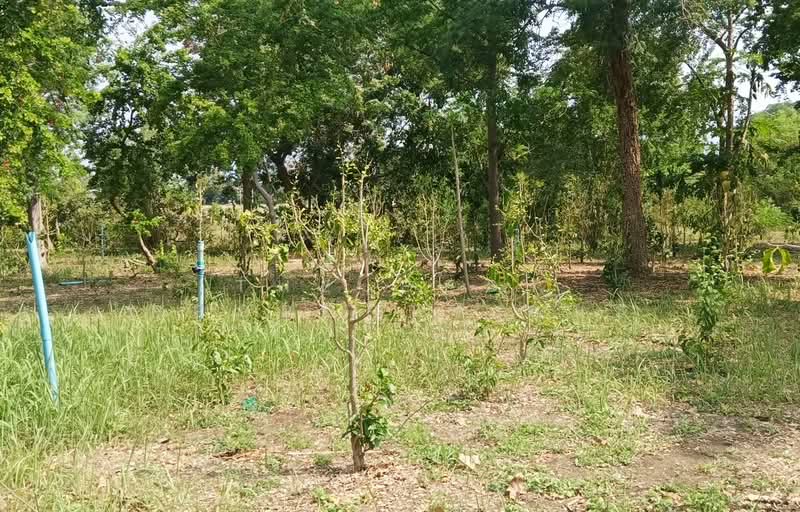 ขาย - ที่ดินบ้านหมอ สระบุรี, สระบุรี