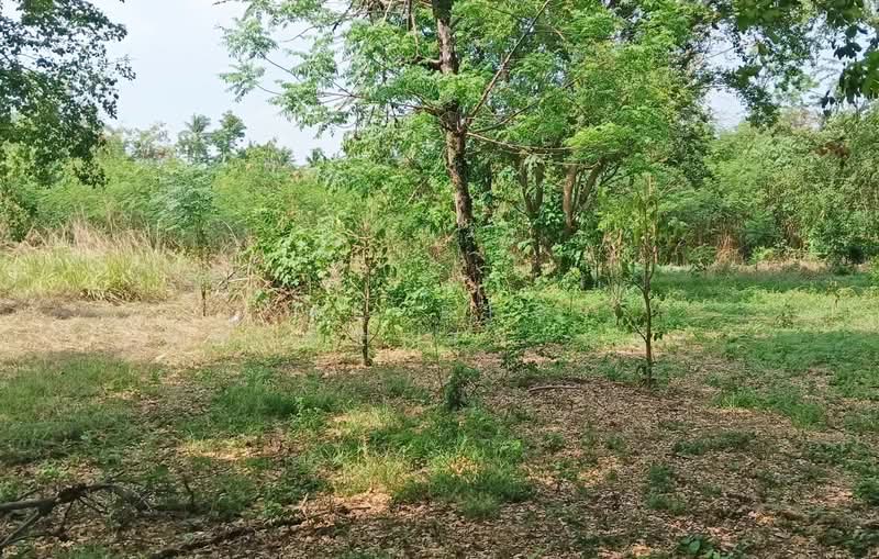 ขาย - ที่ดินบ้านหมอ สระบุรี, สระบุรี