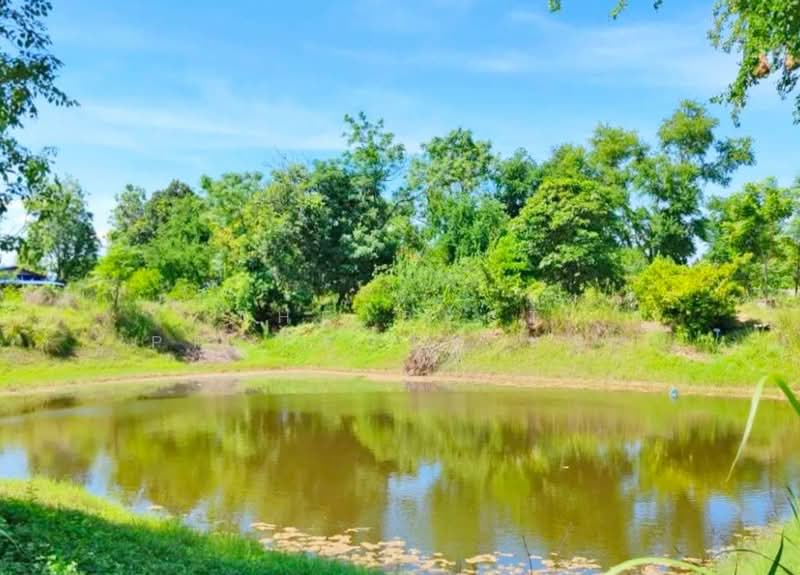 ขาย - ที่ดินบ้านหมอ สระบุรี, สระบุรี