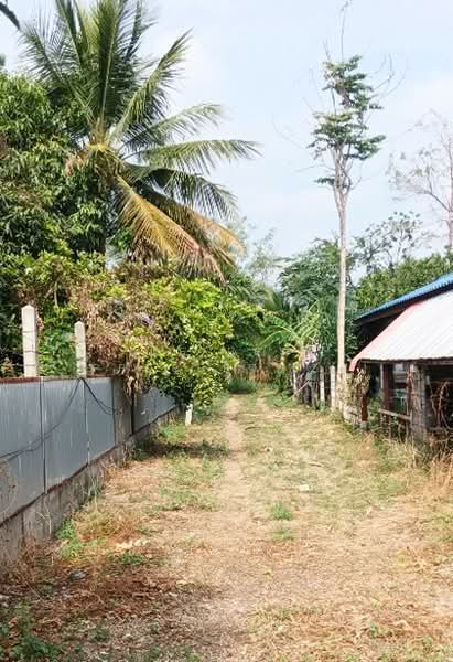 ที่ดินบ้านหมอ สระบุรี, Saraburi, Nong Bua, Ban Mo, Saraburi, , 8,100 sqm, Land For Sale, by The Best Property แมะ, 500222161 - DDproperty.com