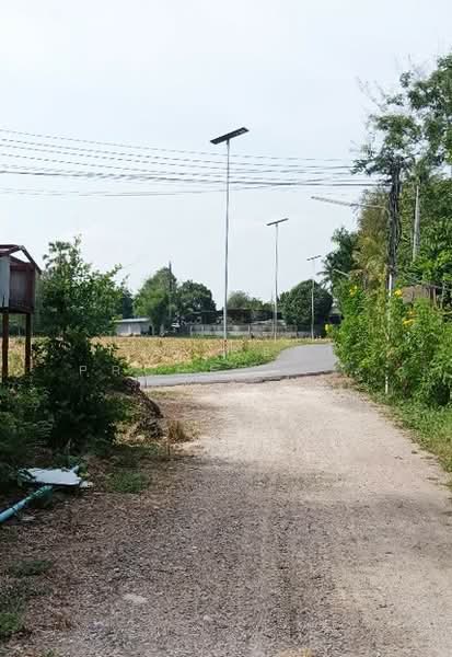 ที่ดินบ้านหมอ สระบุรี, Saraburi, Nong Bua, Ban Mo, Saraburi, , 8,100 sqm, Land For Sale, by The Best Property แมะ, 500222161 - DDproperty.com