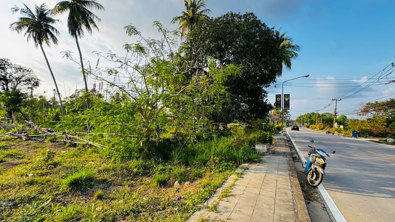 ที่ดินบางละมุง ชลบุรี, ชลบุรี, ห้วยใหญ่, บางละมุง, ชลบุรี, 800 ตร.ม., ที่ดิน ขาย, โดย The Best Property ดา, 500222187 - DDproperty.com