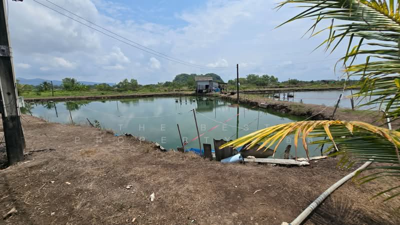 ที่ดินแหลมสิงห์ จันทบุรี, จันทบุรี, หนองชิ่ม, แหลมสิงห์, จันทบุรี, 35,968 ตร.ม., ที่ดิน ขาย, โดย The Best Property บอล, 500222204 - DDproperty.com