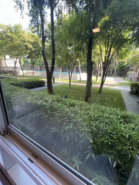 Plum Condo Rangsit Alive, Pathum Thani, Phaholyothin Khlong Nueng, Khlong Nung, Khlong Luang, Pathum Thani, 1 Bedroom, 27 sqm, Condo For Rent, by CorrectProperty, 500222213 - DDproperty.com