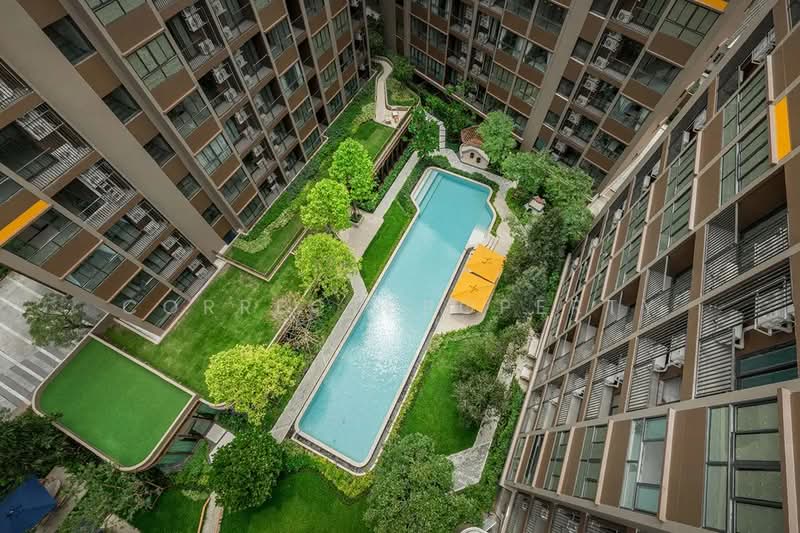 Dcondo Calm Ramkhamhaeng 40, Bangkok, Hua Mak, Bang Kapi, Bangkok, 1 Bedroom, 30 sqm, Condo For Rent, by CorrectProperty, 500222222 - DDproperty.com