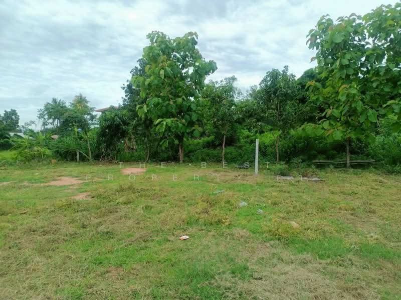 For Sale - ที่ดินโนนศิลา ขอนแก่น, Khon Kaen