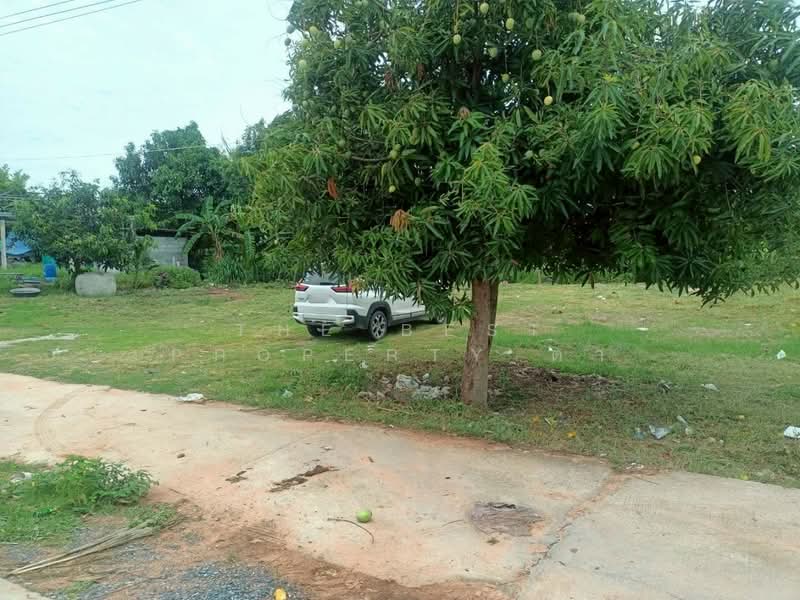 For Sale - ที่ดินโนนศิลา ขอนแก่น, Khon Kaen