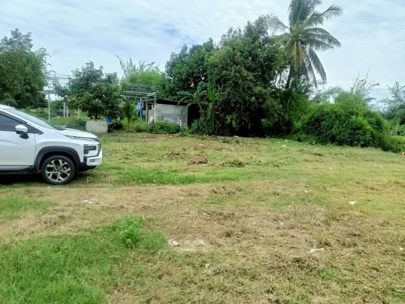 For Sale - ที่ดินโนนศิลา ขอนแก่น, Khon Kaen