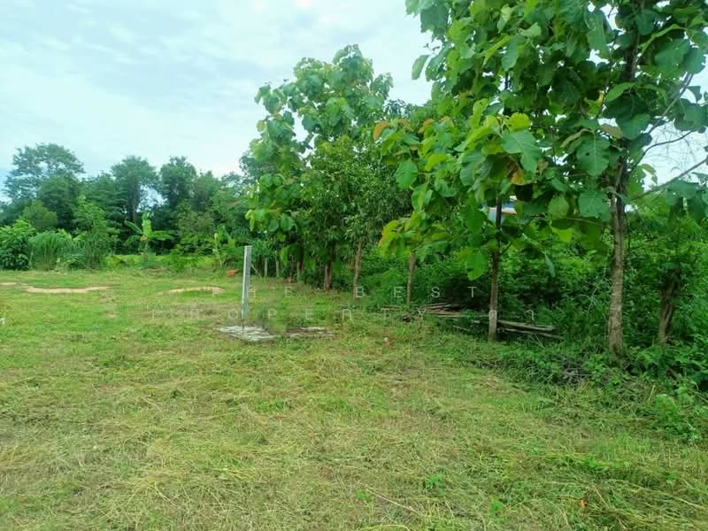 For Sale - ที่ดินโนนศิลา ขอนแก่น, Khon Kaen