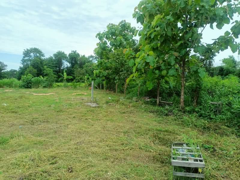 For Sale - ที่ดินโนนศิลา ขอนแก่น, Khon Kaen