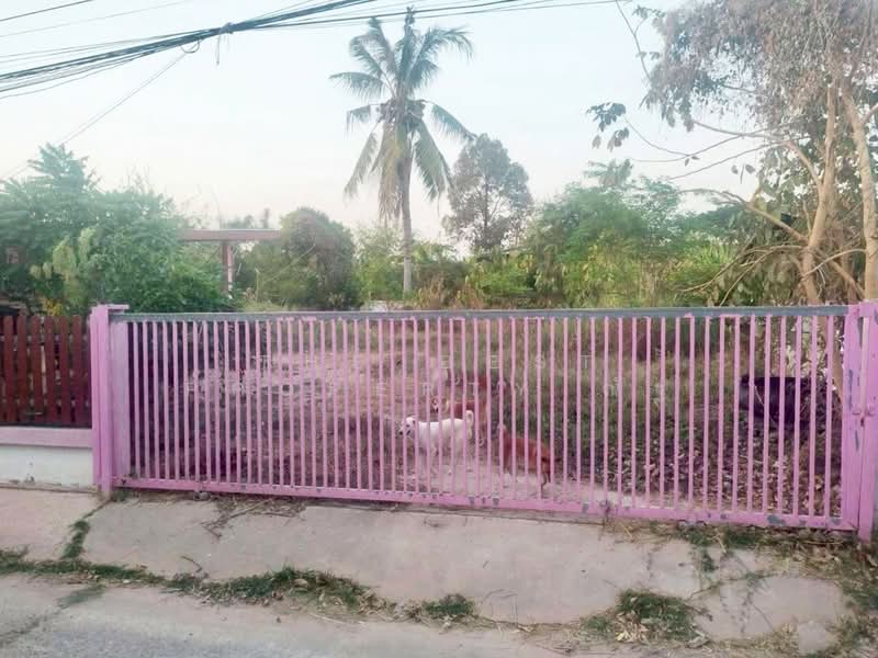 For Sale - ที่ดินดอนสวรรค์ กาฬสินธุ์, Kalasin