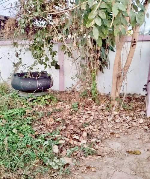 For Sale - ที่ดินดอนสวรรค์ กาฬสินธุ์, Kalasin