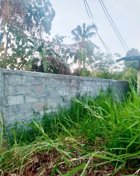 For Sale - ที่ดินดอนสวรรค์ กาฬสินธุ์, Kalasin