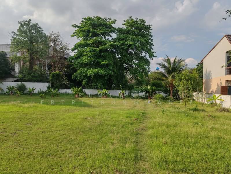 ที่ดินถมแล้ว ซอย อินทาปัจ 13, Bangkok, Lak Song, Bang Khae, Bangkok, , 1,764 sqm, Land For Sale, by Pimlada Lertritrungmanee, 500222373 - DDproperty.com