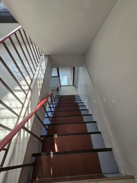 ไม่พบโครงการ, Bangkok, รามอินทรา, Tha Rang, Bang Khen, Bangkok, , 200 sqm, Shophouse For Rent, by กุลจิรา อภัยโส, 500222395 - DDproperty.com