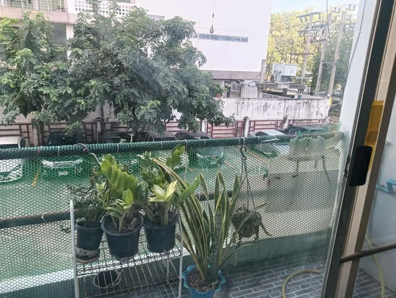 Wilshire Condominium Srinagarindra 56 : วิลเชอร์ คอนโดมิเนียม ศรีนครินทร์ 56, กรุงเทพ, ซอย ศรีนครินทร์ 56, หนองบอน, ประเวศ, กรุงเทพ, 32 ตร.ม., คอนโด ให้เช่า, โดย Netsanthiah Ai, 500222404 - DDproperty.com