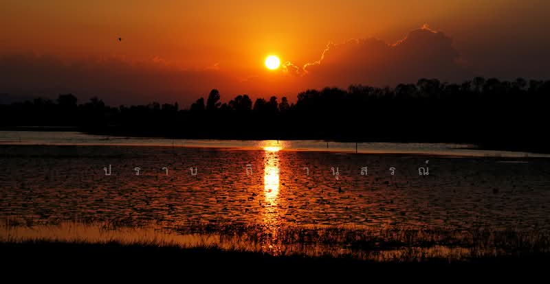 Sam Roi Yot, Prachuap Khiri Khan, Sam Roi Yot, Sam Roi Yot, Prachuap Khiri Khan, , 2,880,000 sqm, Land For Sale, by Praab Thiranusorn, 500222416 - DDproperty.com