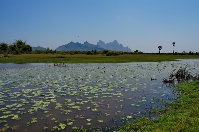 สามร้อยยอด, ประจวบคีรีขันธ์, สามร้อยยอด, สามร้อยยอด, ประจวบคีรีขันธ์, 2,880,000 ตร.ม., ที่ดิน ขาย, โดย ปราบ ถิรานุสรณ์, 500222416 - DDproperty.com