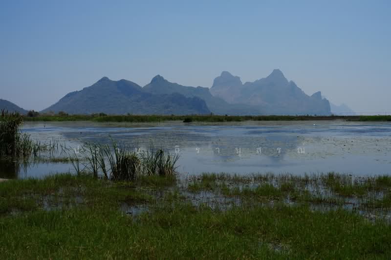 Sam Roi Yot, Prachuap Khiri Khan, Sam Roi Yot, Sam Roi Yot, Prachuap Khiri Khan, , 2,880,000 sqm, Land For Sale, by Praab Thiranusorn, 500222416 - DDproperty.com