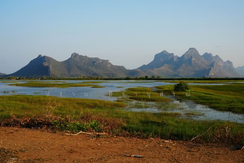 สามร้อยยอด, ประจวบคีรีขันธ์, สามร้อยยอด, สามร้อยยอด, ประจวบคีรีขันธ์, 320,000 ตร.ม., ที่ดิน ขาย, โดย ปราบ ถิรานุสรณ์, 500222419 - DDproperty.com