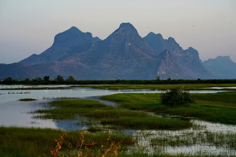 Som Roi Yot, Prachuap Khiri Khan, Sam Roi Yot, Sam Roi Yot, Prachuap Khiri Khan, , 320,000 sqm, Land For Sale, by Praab Thiranusorn, 500222419 - DDproperty.com