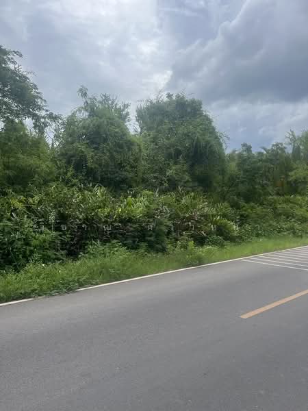 ขาย - ที่ดิน, สมุทรสงคราม