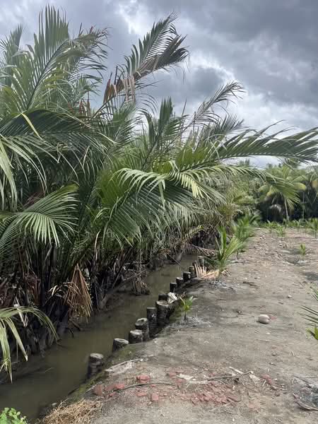 ขาย - ที่ดิน, สมุทรสงคราม