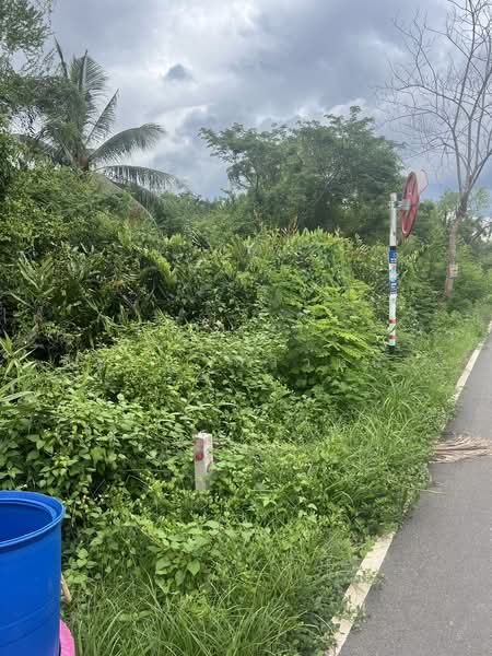 ขาย - ที่ดิน, สมุทรสงคราม