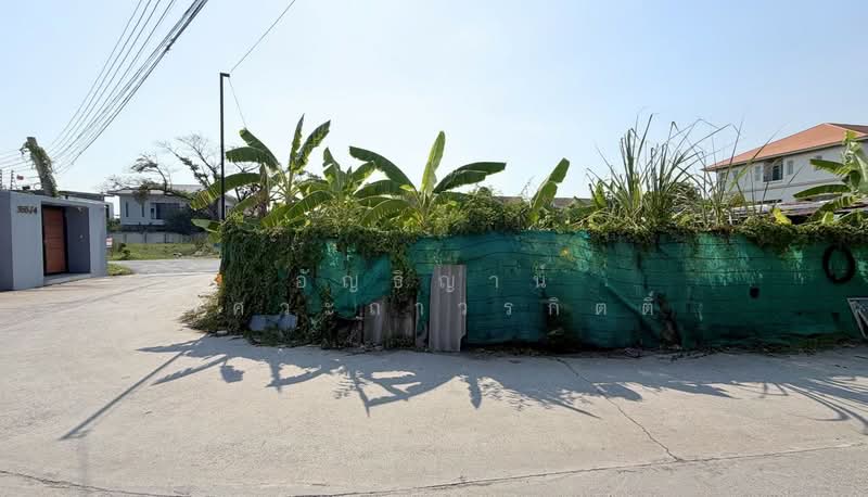 ที่ดินอ่อนนุช 39 หมู่บ้านบัวงาม, Bangkok, อ่อนนุช, Suan Luang, Suan Luang, Bangkok, , 300 sqm, Land For Sale, by อัญธิญาน์ อัศวะถาวรกิตติ์, 500222436 - DDproperty.com