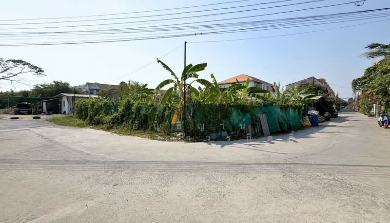 ที่ดินอ่อนนุช 39 หมู่บ้านบัวงาม, Bangkok, อ่อนนุช, Suan Luang, Suan Luang, Bangkok, , 300 sqm, Land For Sale, by อัญธิญาน์ อัศวะถาวรกิตติ์, 500222436 - DDproperty.com