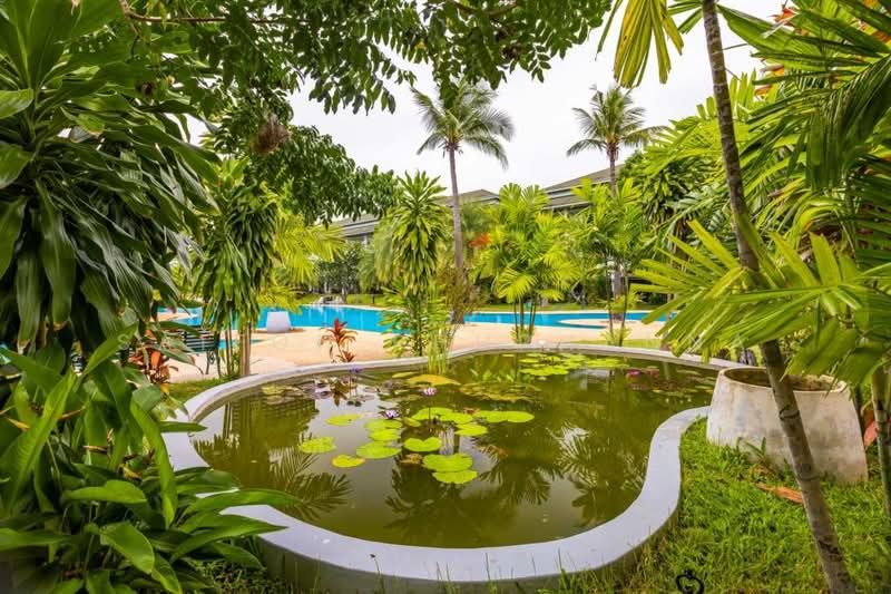 Baan Sra Suan : บ้านสระสวน, ประจวบคีรีขันธ์, หนองแก, หัวหิน, ประจวบคีรีขันธ์, 270 ตร.ม., ทาวน์เฮ้าส์ ให้เช่า, โดย Saifon Phuphanna, 500222472 - DDproperty.com