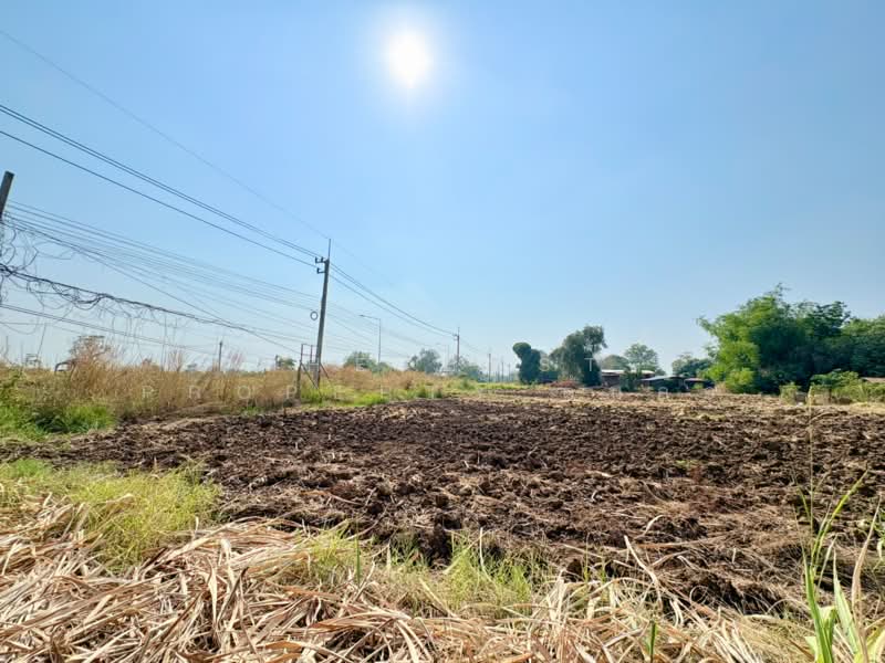 For Sale - ที่ดินพยุหะคีรี นครสวรรค์, Nakhon Sawan