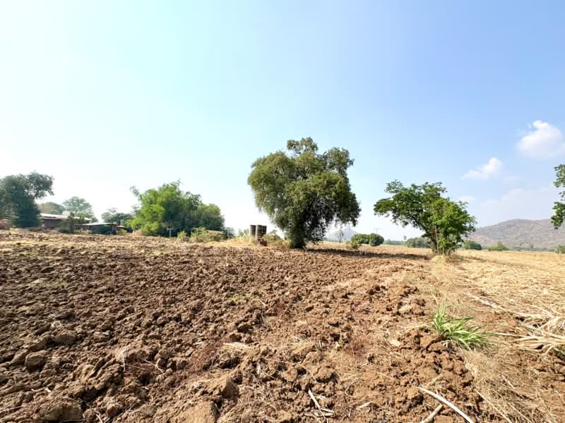 For Sale - ที่ดินพยุหะคีรี นครสวรรค์, Nakhon Sawan