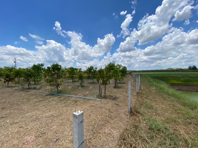 ที่ดินจอมบึง ราชบุรี, Ratchaburi, Pak Chong, Chom Bung, Ratchaburi, , 2,400 sqm, Land For Sale, by The Best Property กรณ์, 500222686 - DDproperty.com