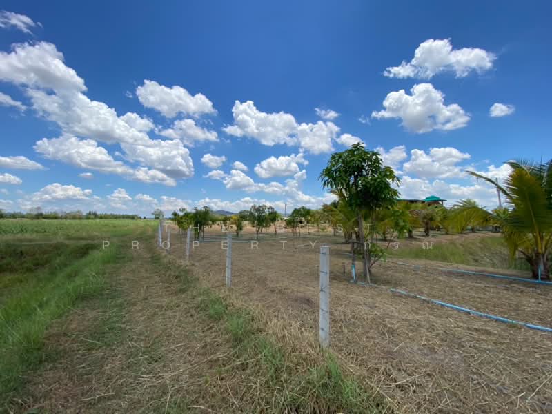 ที่ดินจอมบึง ราชบุรี, Ratchaburi, Pak Chong, Chom Bung, Ratchaburi, , 2,400 sqm, Land For Sale, by The Best Property กรณ์, 500222686 - DDproperty.com