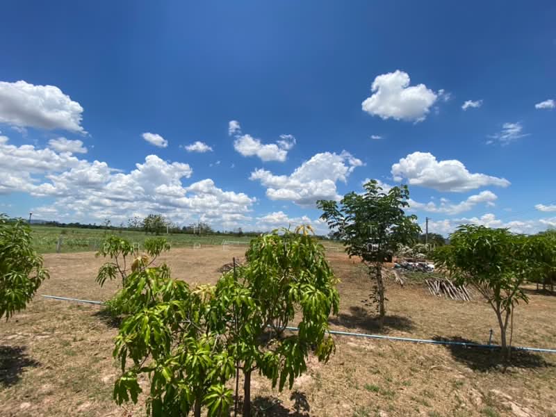 ขาย - ที่ดินจอมบึง ราชบุรี, ราชบุรี