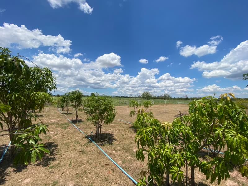 ที่ดินจอมบึง ราชบุรี, Ratchaburi, Pak Chong, Chom Bung, Ratchaburi, , 2,400 sqm, Land For Sale, by The Best Property กรณ์, 500222686 - DDproperty.com