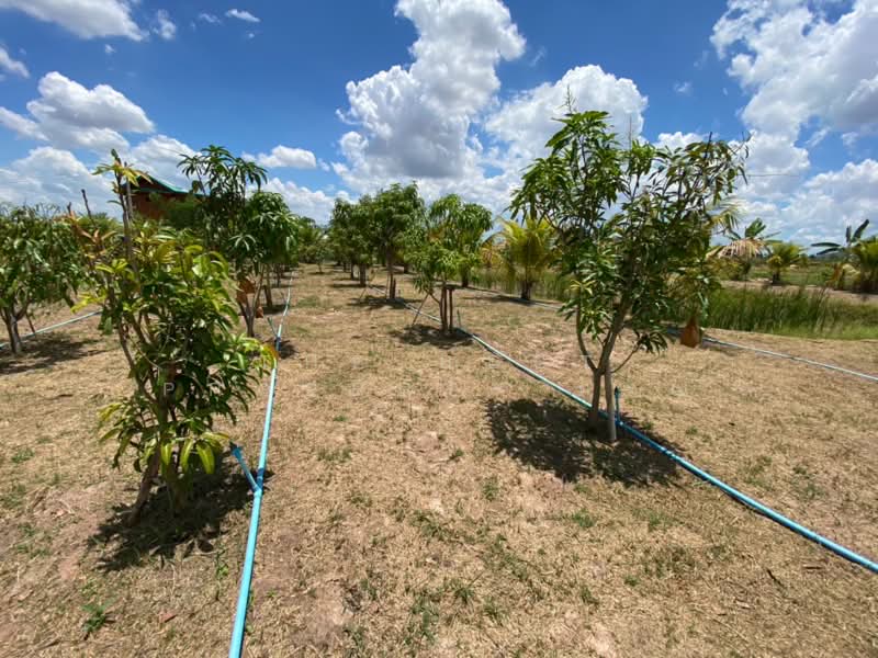 ที่ดินจอมบึง ราชบุรี, Ratchaburi, Pak Chong, Chom Bung, Ratchaburi, , 2,400 sqm, Land For Sale, by The Best Property กรณ์, 500222686 - DDproperty.com