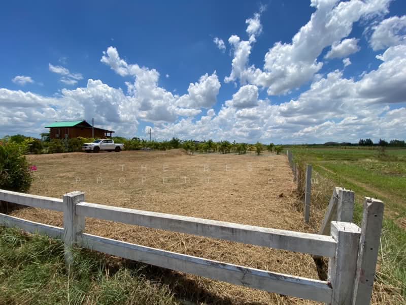 ขาย - ที่ดินจอมบึง ราชบุรี, ราชบุรี