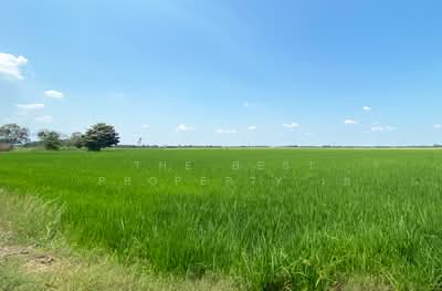 ขาย - ที่ดินบางมัญ สิงห์บุรี, สิงห์บุรี